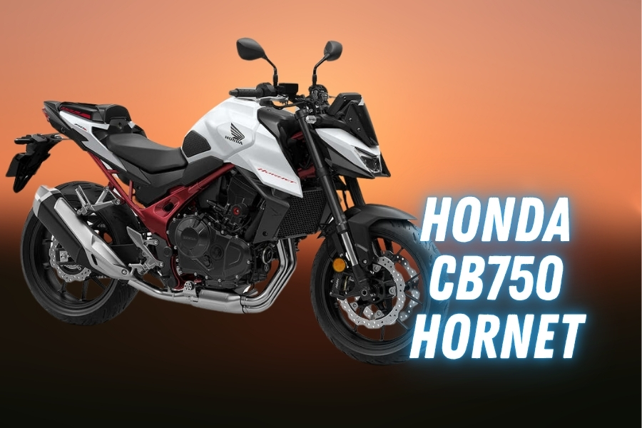 honda hornet